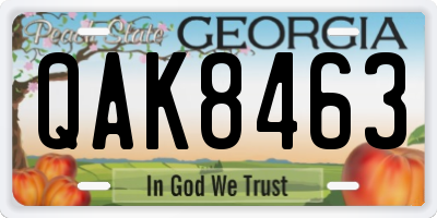 GA license plate QAK8463