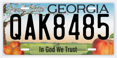 GA license plate QAK8485