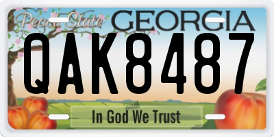 GA license plate QAK8487