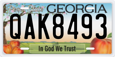 GA license plate QAK8493