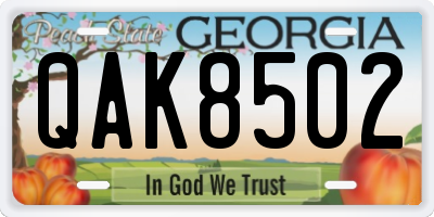 GA license plate QAK8502