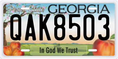 GA license plate QAK8503