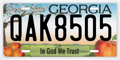 GA license plate QAK8505