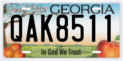 GA license plate QAK8511