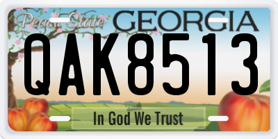 GA license plate QAK8513