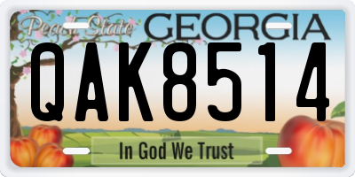 GA license plate QAK8514