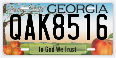 GA license plate QAK8516