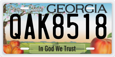 GA license plate QAK8518