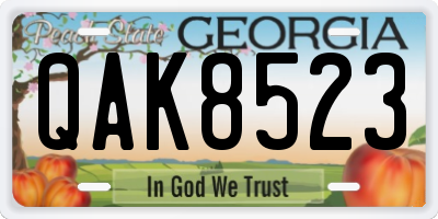 GA license plate QAK8523