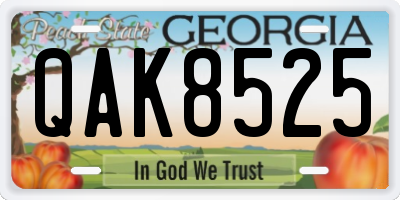 GA license plate QAK8525