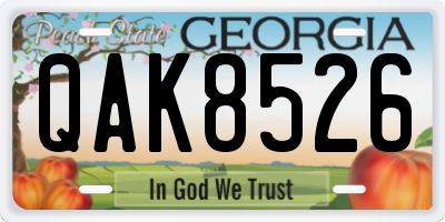 GA license plate QAK8526