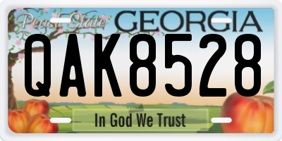GA license plate QAK8528