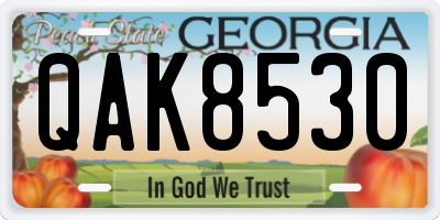 GA license plate QAK8530