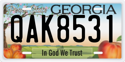 GA license plate QAK8531