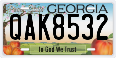 GA license plate QAK8532