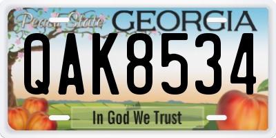 GA license plate QAK8534