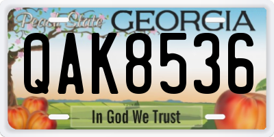GA license plate QAK8536