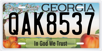 GA license plate QAK8537