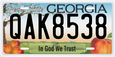 GA license plate QAK8538