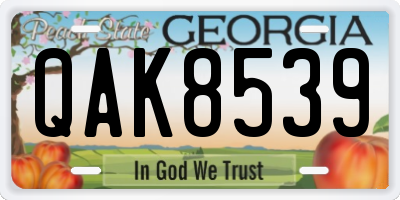 GA license plate QAK8539