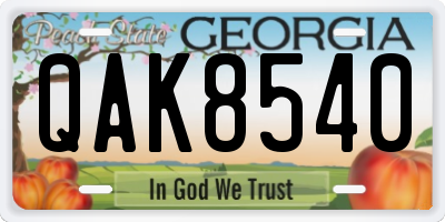 GA license plate QAK8540
