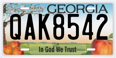 GA license plate QAK8542
