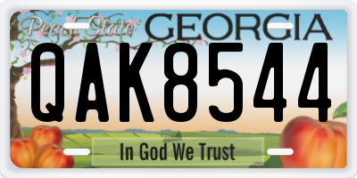 GA license plate QAK8544