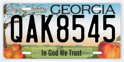 GA license plate QAK8545
