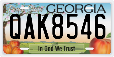 GA license plate QAK8546