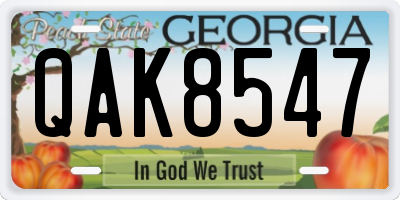 GA license plate QAK8547