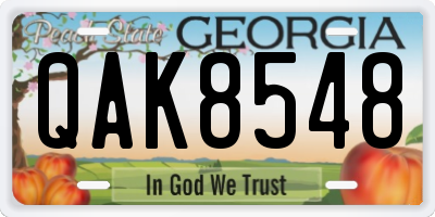GA license plate QAK8548