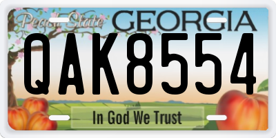 GA license plate QAK8554