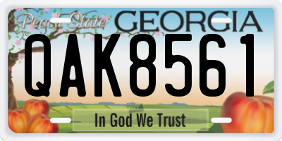 GA license plate QAK8561