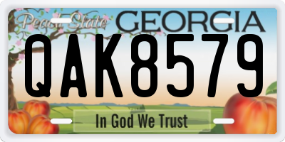 GA license plate QAK8579