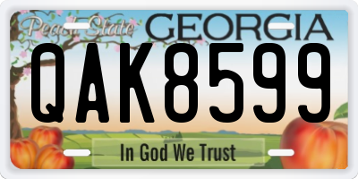 GA license plate QAK8599