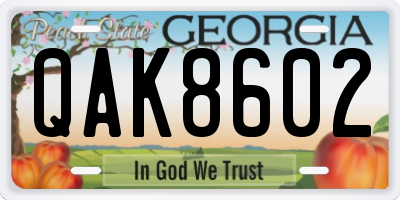 GA license plate QAK8602