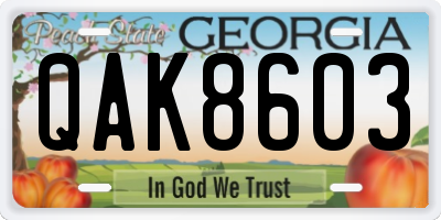 GA license plate QAK8603