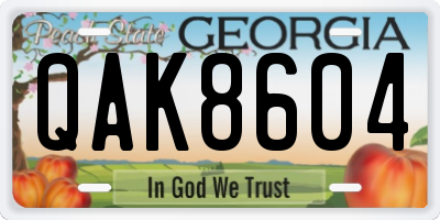 GA license plate QAK8604