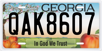 GA license plate QAK8607