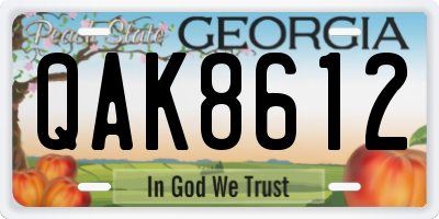 GA license plate QAK8612