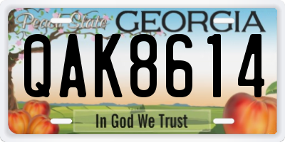 GA license plate QAK8614