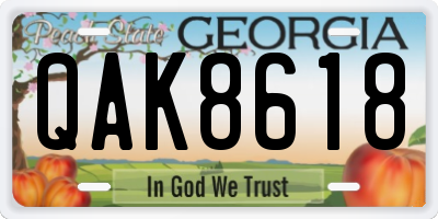 GA license plate QAK8618