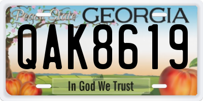 GA license plate QAK8619