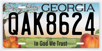 GA license plate QAK8624
