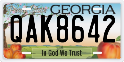 GA license plate QAK8642