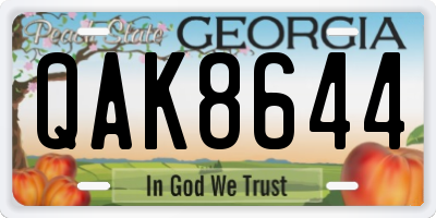 GA license plate QAK8644