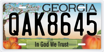 GA license plate QAK8645