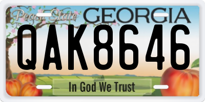 GA license plate QAK8646