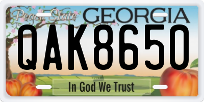 GA license plate QAK8650