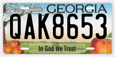 GA license plate QAK8653